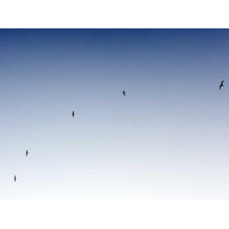 Small Paper Keyboard fr-FR